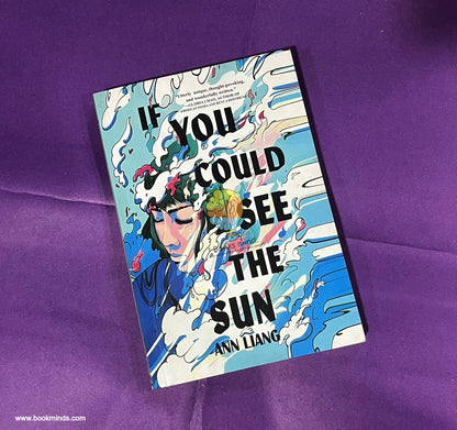 If You Could See The Sun