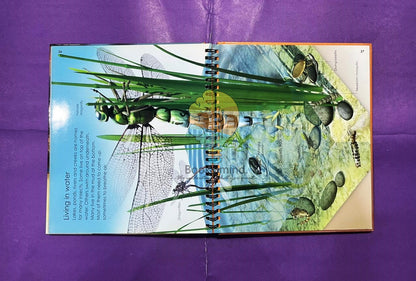 Look Inside Bugs