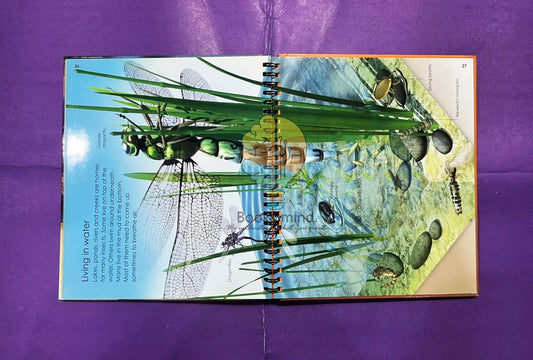 Look Inside Bugs