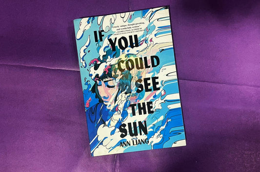 If You Could See The Sun By Ann Liang