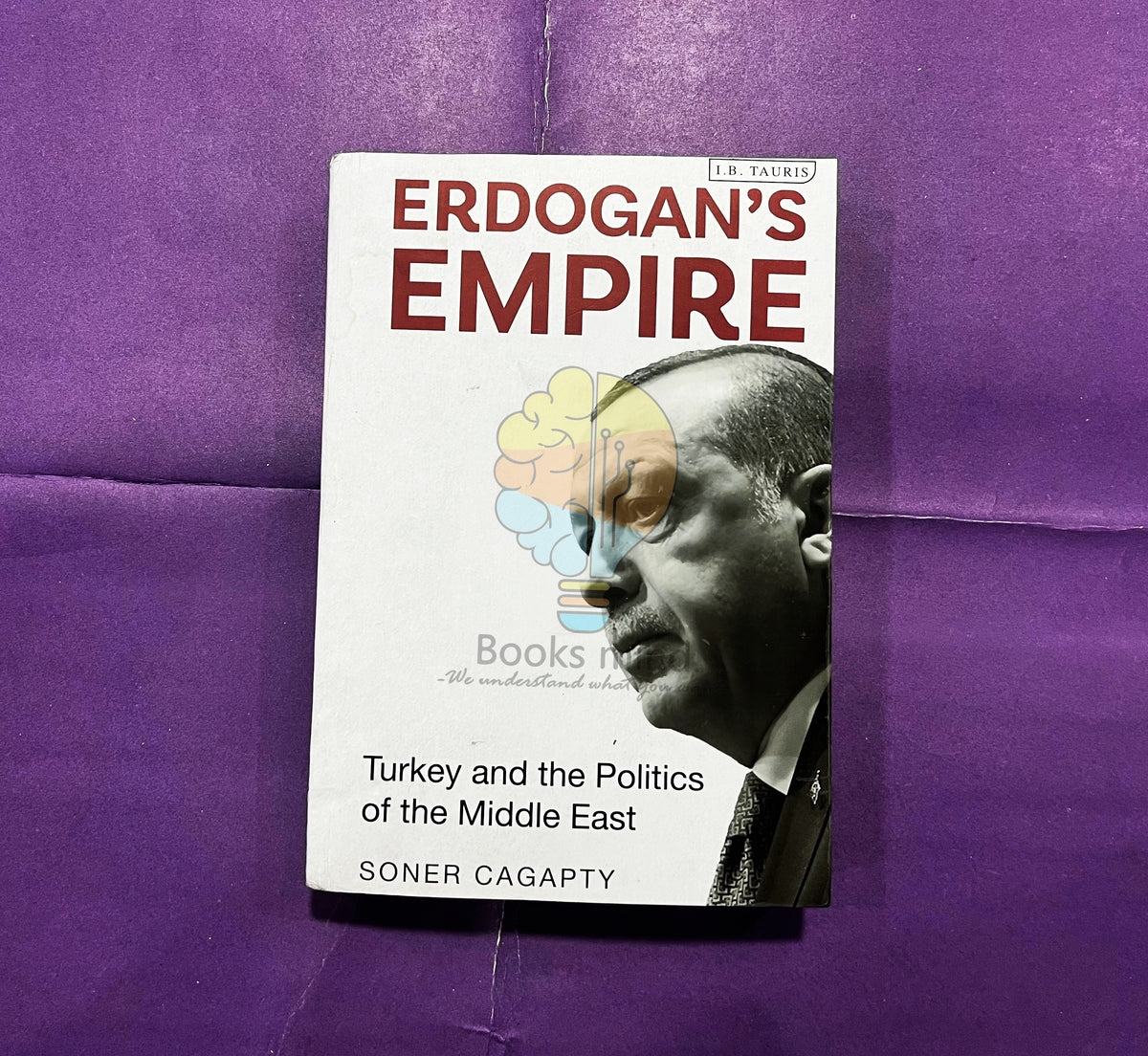 Erdogan's Empire