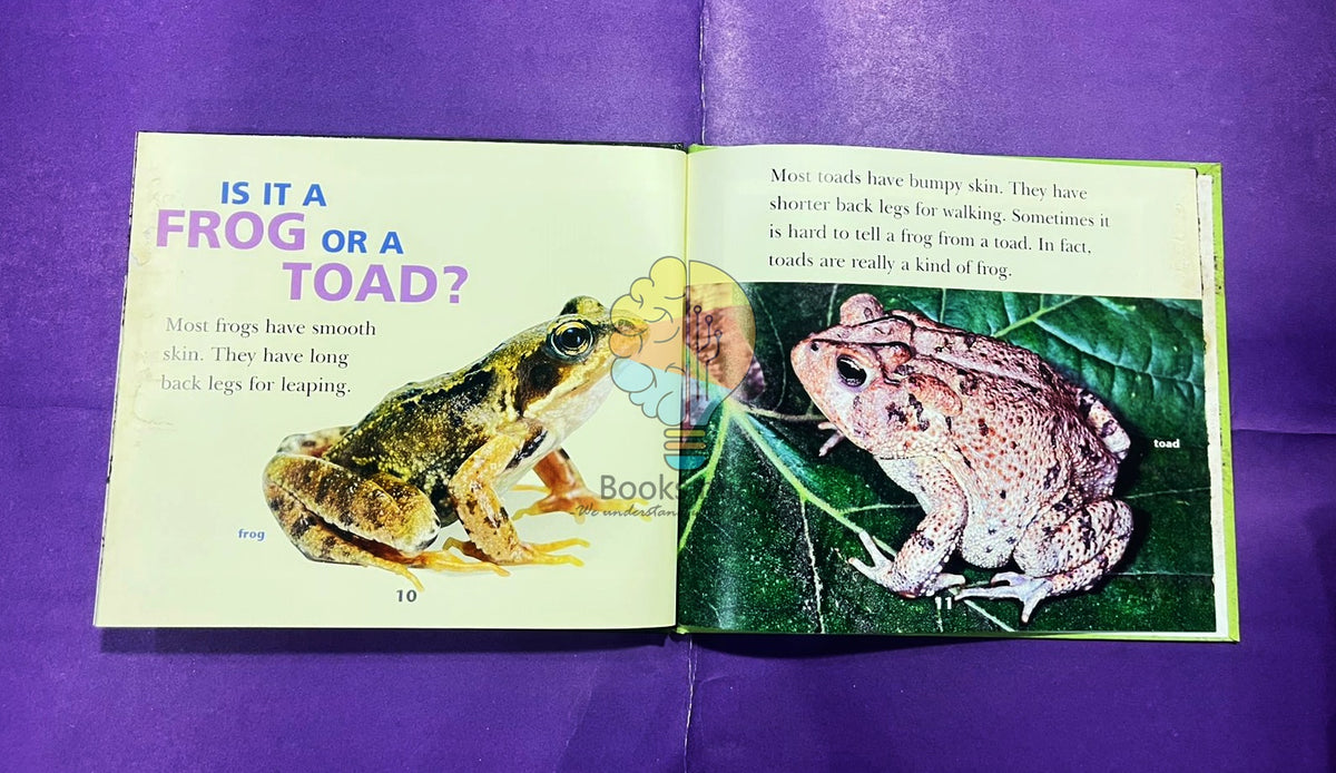 Fun Facts About Frogs!