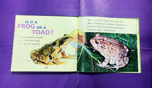 Fun Facts About Frogs!