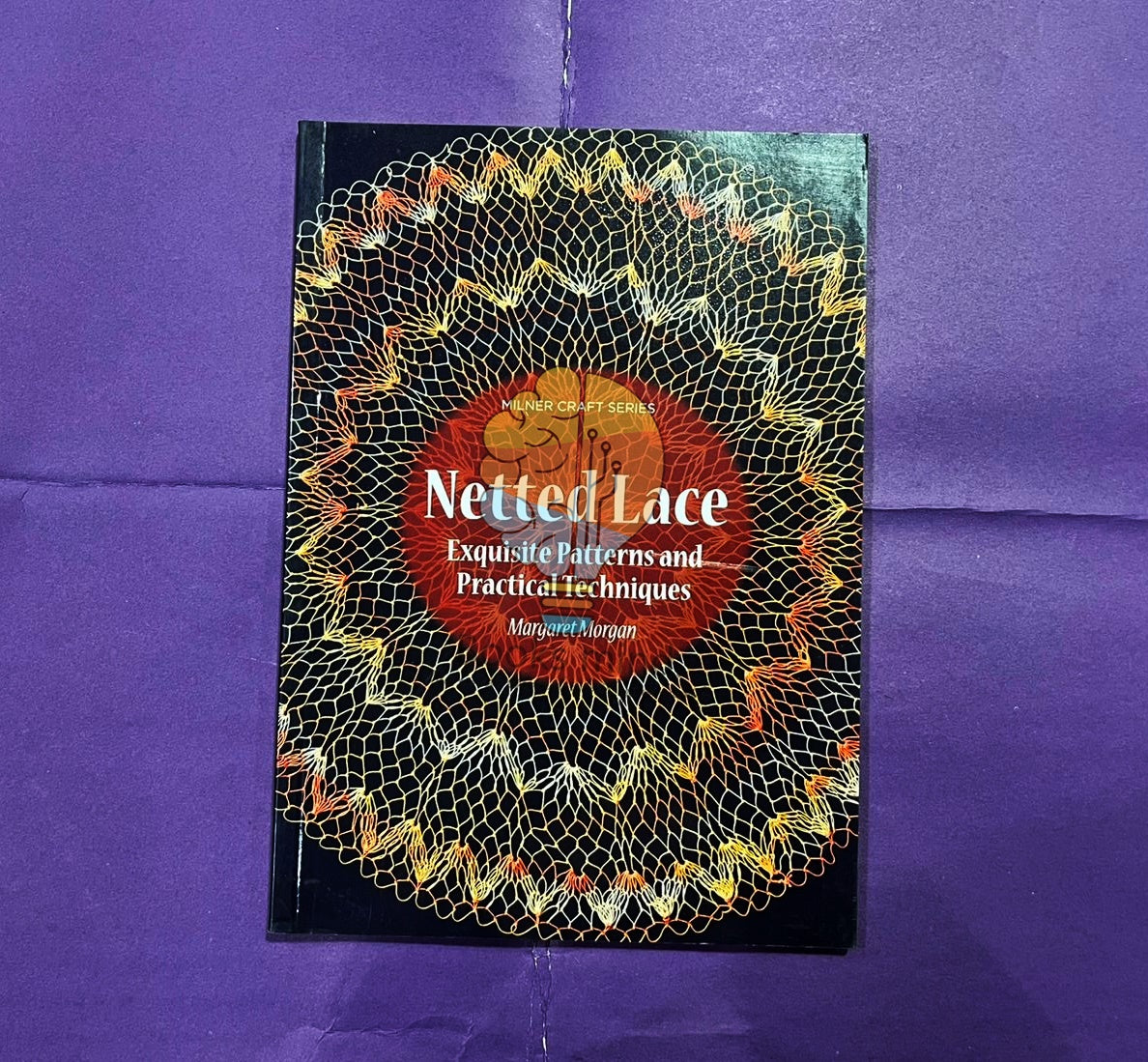 Netted Lace: Techniques and Patterns